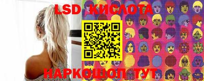 дмт Будённовск