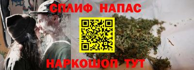 дмт Будённовск