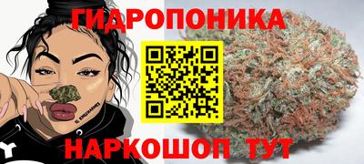 прущие грибы Бузулук